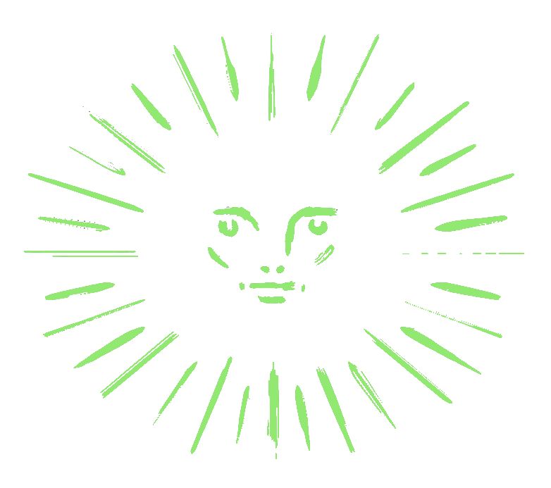 An illustration of a sun in the shape of a face with simple sun rays line coming out